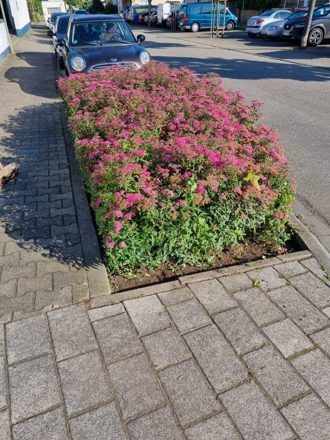 Grünpflege für Gemeinden in der Region